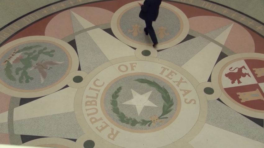 texas capitol mosaic