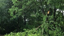 Storm damage near Interstate 35W and Western Center Boulevard in Fort Worth, Texas on Saturday, May 16, 2020.