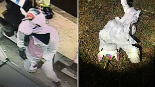 unicorn robbery suspect costume