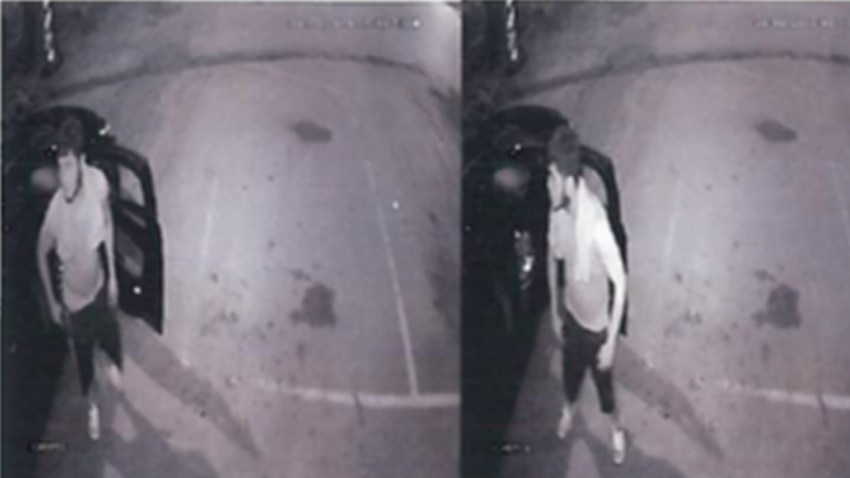 Balch Springs Man Suspected of Theft Shoots at Witnesses