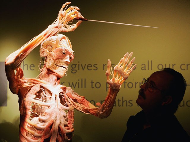 57294799SB003_Bodies_Exhibi