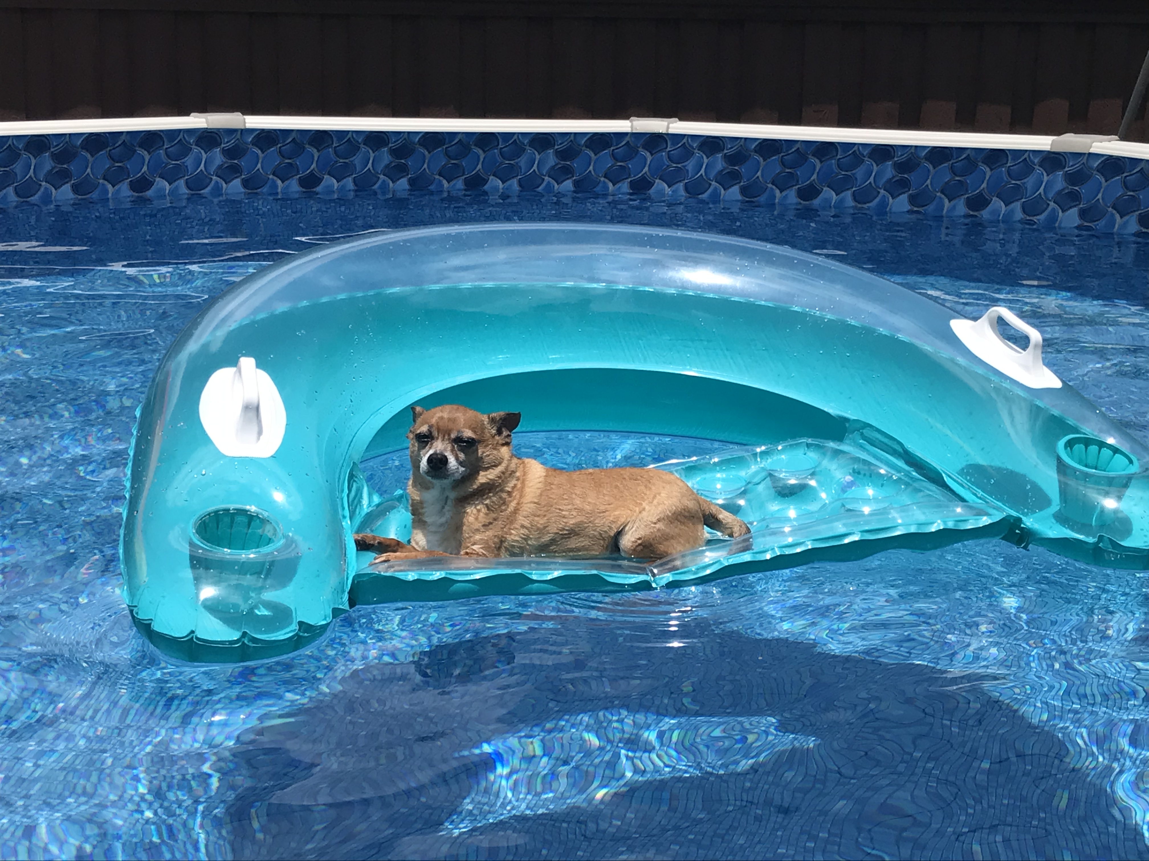 Download Kurmfjzj0pkccm Desktop Wallpaper Free Wallpaper Kurmfjzj0pkccm HD