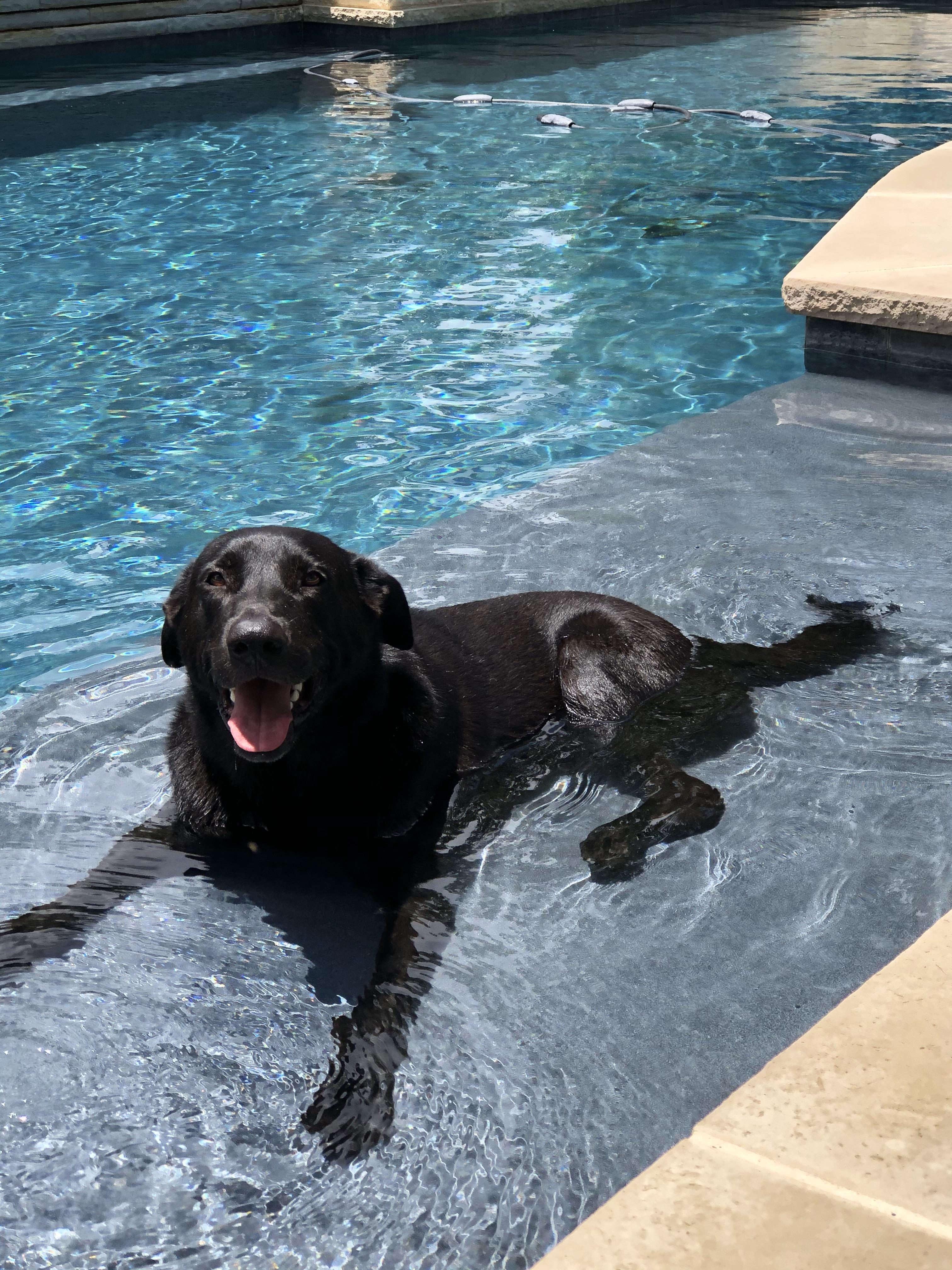 Download Kurmfjzj0pkccm For Android Free Get Wallpaper Kurmfjzj0pkccm For iPhone