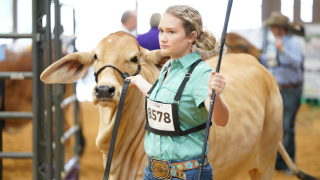 State Fair Pics