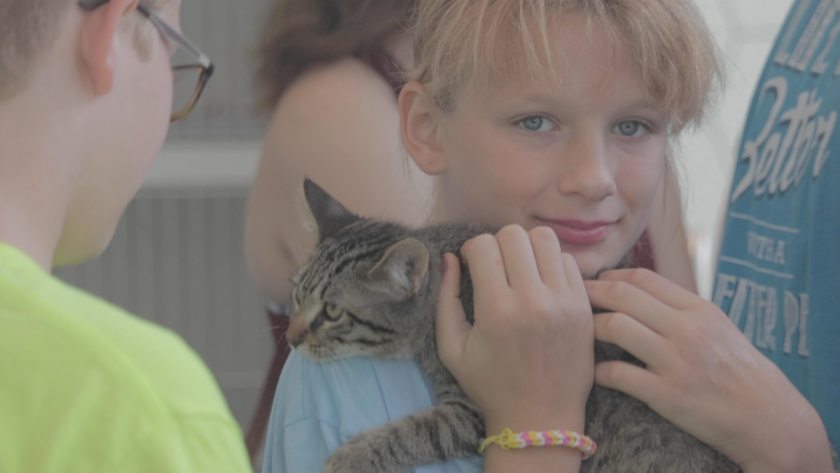 Clear The Shelters Hill’s Pet Nutrition NBC 5 DallasFort Worth