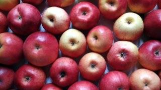 apples on a table