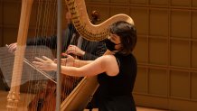 Dallas Symphony Orchestra harpist in mask