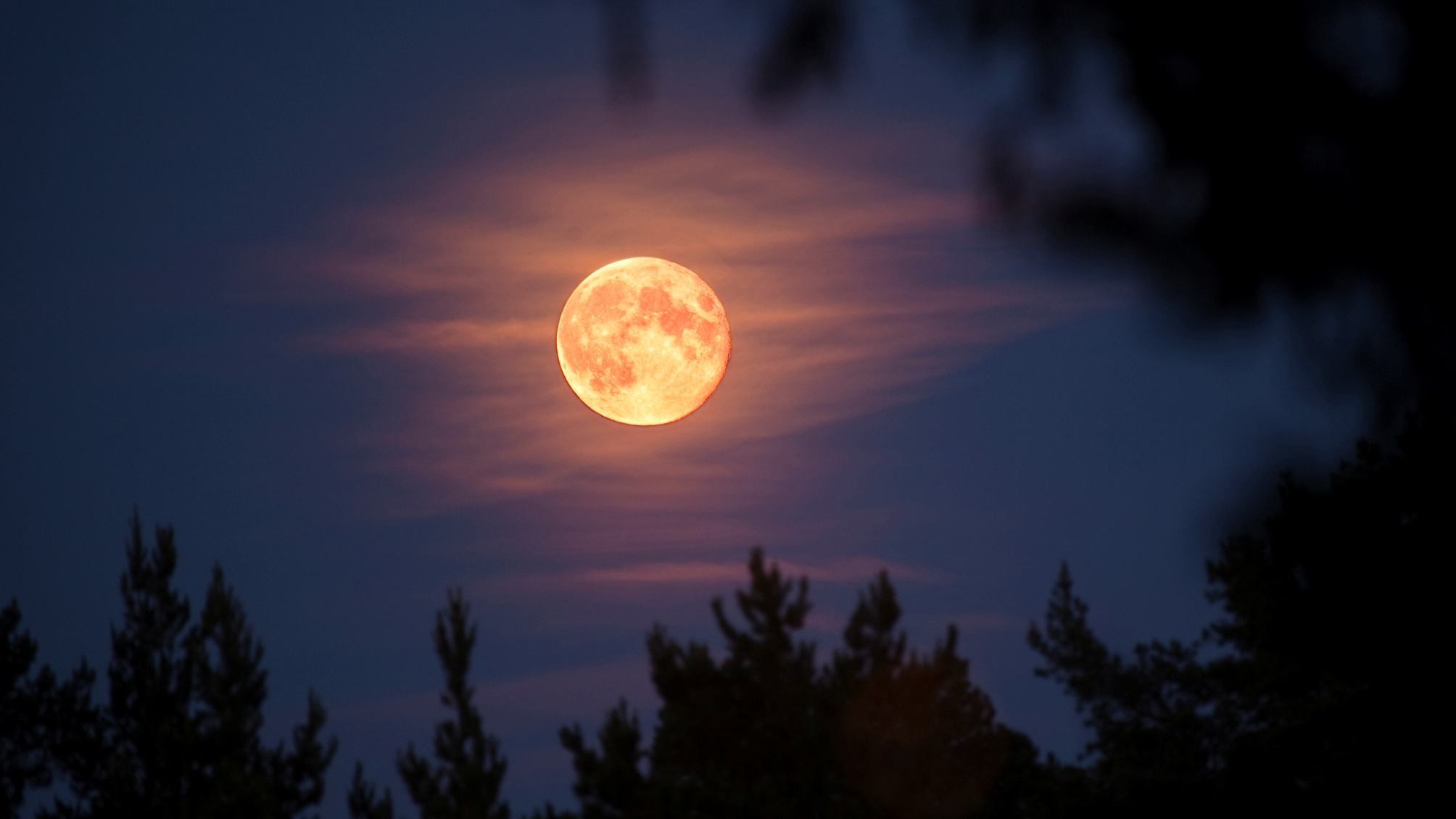 harvest moon sept 9