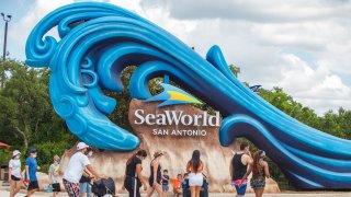 Tourists visit SeaWorld San Antonio in Texas, the United States, on June 19, 2020. The famous theme park in San Antonio reopened to public on Friday.