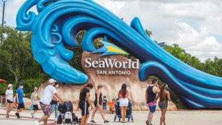 Tourists visit SeaWorld San Antonio in Texas, the United States, on June 19, 2020. The famous theme park in San Antonio reopened to public on Friday.
