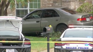 car in grass