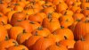 Live Radar: Spotty Morning Showers; Spook-tacular Evening for Trick-or-Treaters