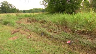 Three people were killed early Sunday morning when a suspected drunken driver caused a crash in Pleasant Grove, Dallas police say.