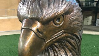 UNT eagle statue