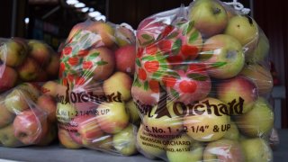 Apples are bagged at Anderson Orchard