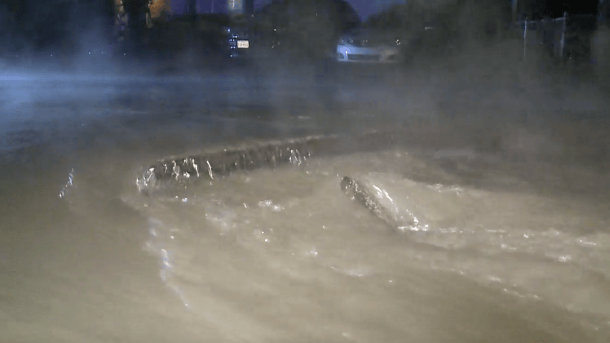 Water Main Break Leaves Homes in Southwest Fort Worth Without Running ...