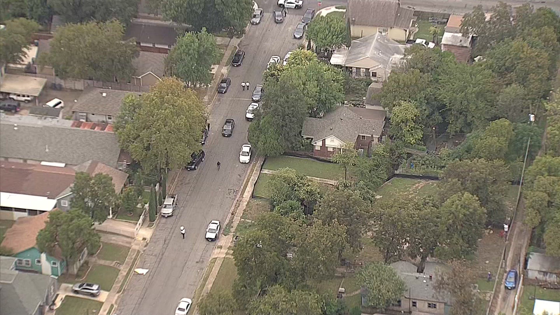 Man Fatally Shot While Walking Dog In Oak Cliff, Police Say – NBC 5 ...