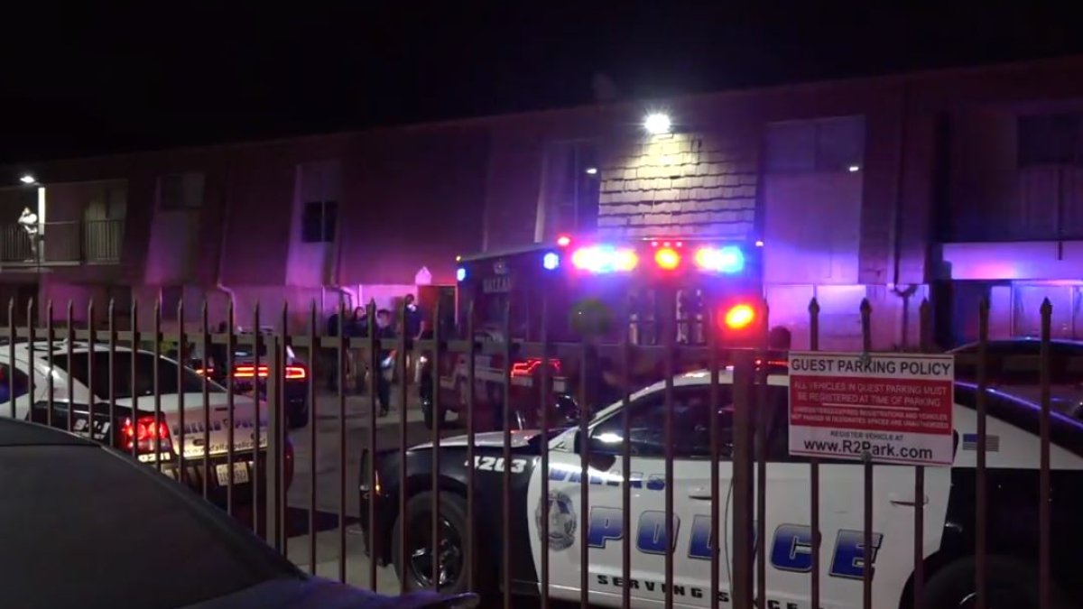 Man Fatally Shot at Oak Cliff Apartments: Dallas Police – NBC 5 Dallas ...