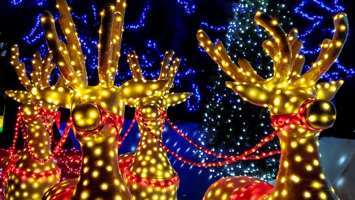 Cleburne Tx Christmas Parade 2022 Cleburne's Lighted Christmas Parade Canceled Due To Surge In Covid-19  Cases, Hospitalizations – Nbc 5 Dallas-Fort Worth