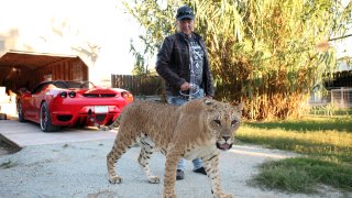 Jeff Lowe with Faith the liliger