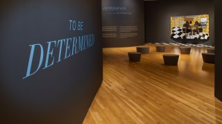 To Be Determined at Dallas Museum of Art