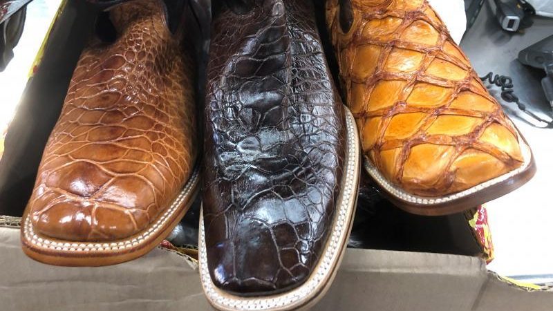 Sea turtle top cowboy boots