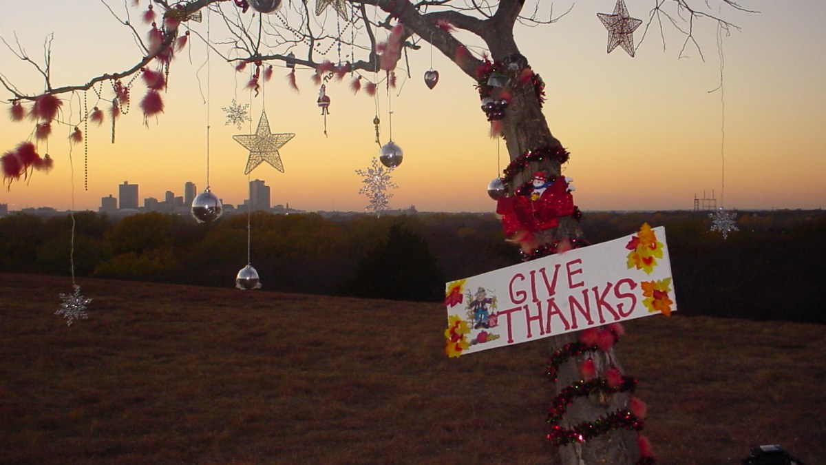 Fort Worth’s ‘Homeless Christmas Tree’ Has Vanished NBC 5 DallasFort