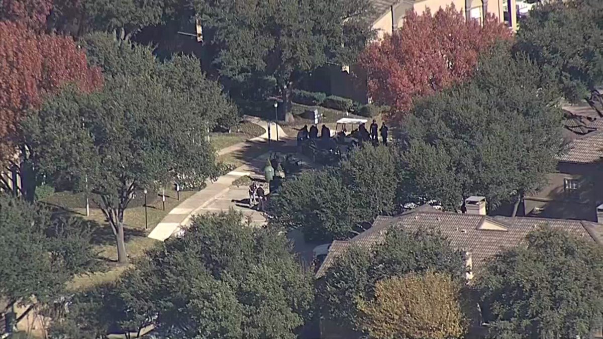 Individual Fatally Shoots Self After Firing at Plano Officer Police