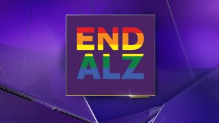 END ALZ graphic