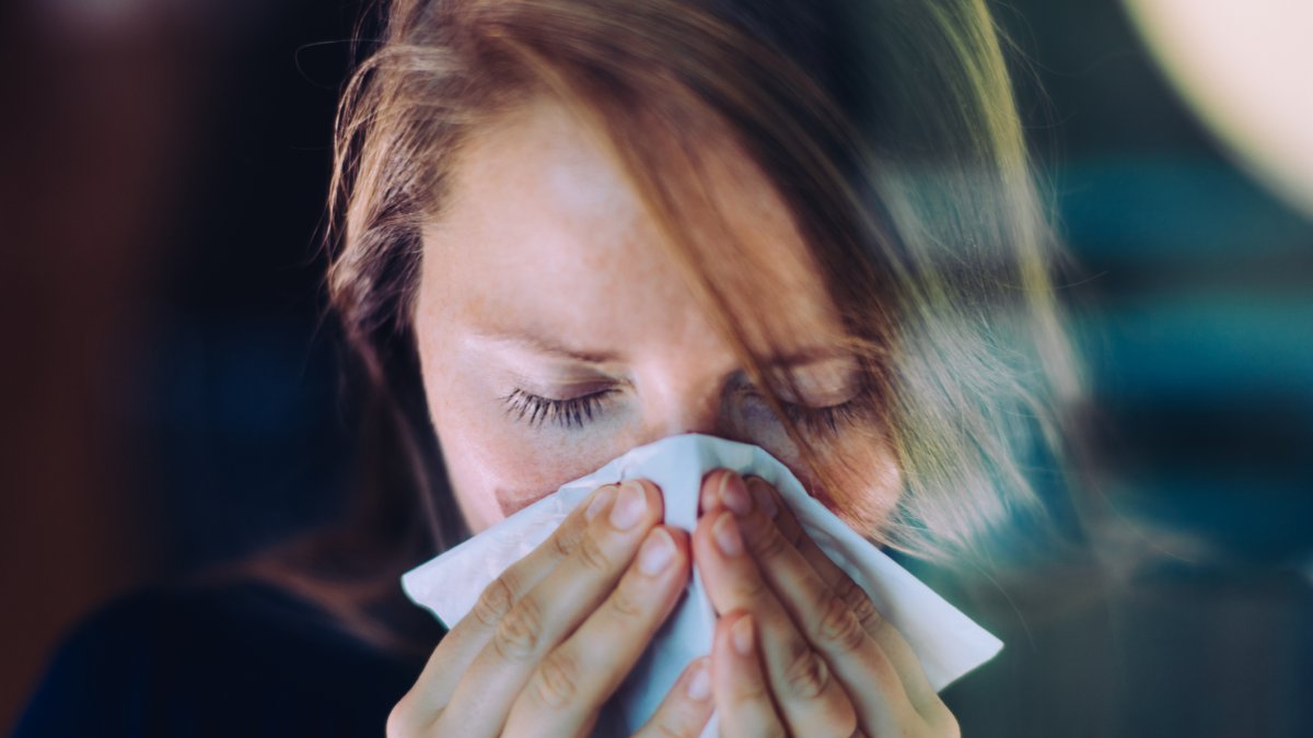 Why do we say 'bless you' when someone sneezes? – NBC 5 Dallas-Fort Worth - Vimarsana News