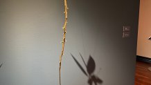 Divine Spark Crow Museum