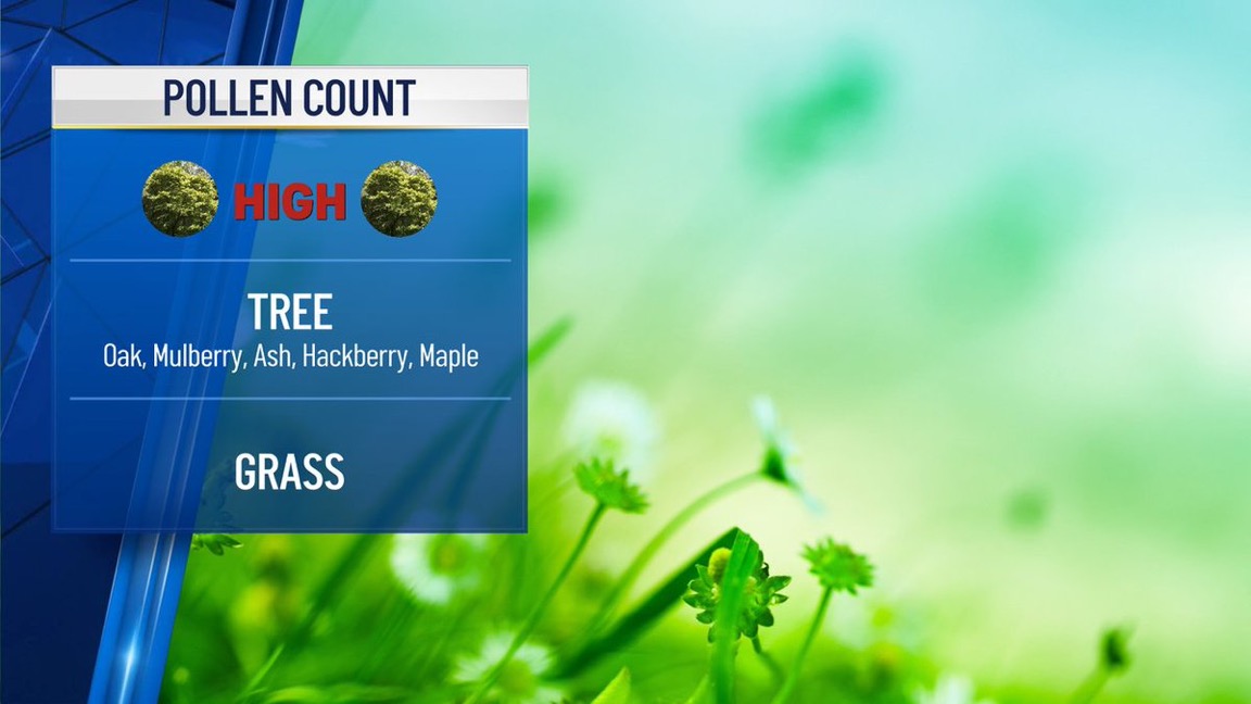 How Weather Impacts Pollen Levels and Your Allergies – NBC 5 Dallas ...