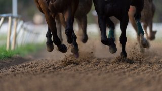 Horse Racing, Low Section, All Weather Track