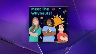 The "Meet the Whynauts" logo