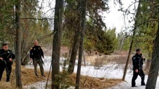 Fisherman Mauled New Yellowstone National Park