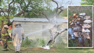 One person died after being attacked by a swarm of bees Monday at a home in North Central Texas, firefighters say.