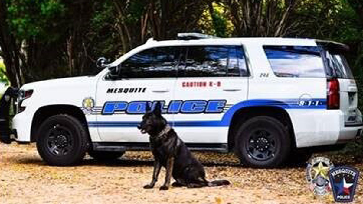 Mesquite Police K9 Killed in the Line of Duty NBC 5 DallasFort Worth