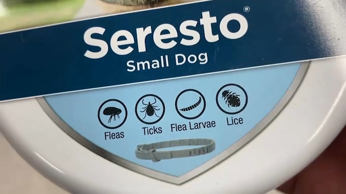 EPA Investigating Pet Incidents Involving Seresto Collars NBC 5