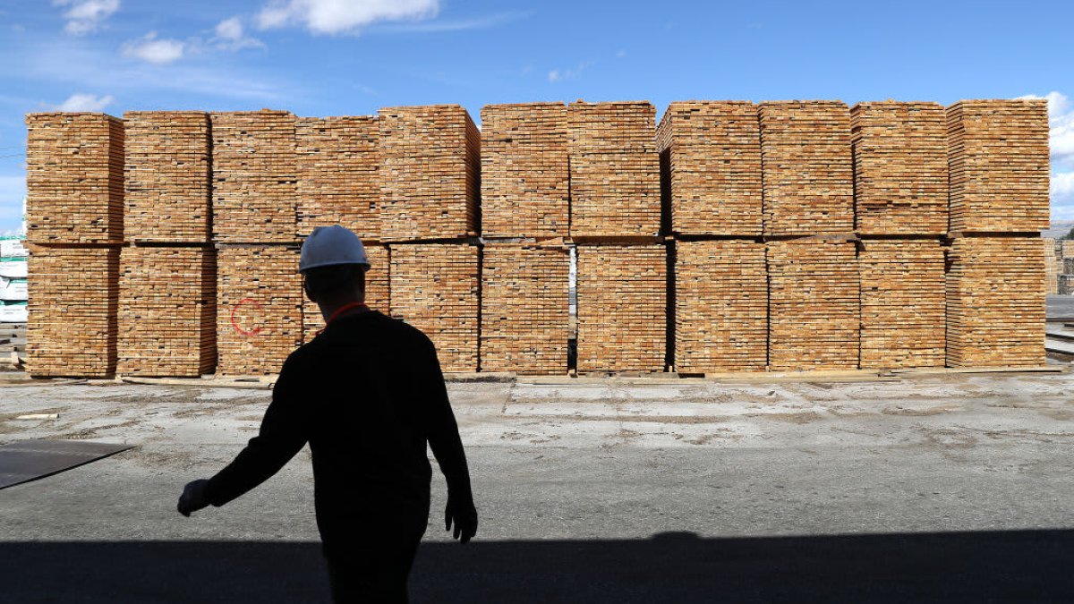 Here’s Why Lumber is So Expensive Right Now NBC 5 DallasFort Worth