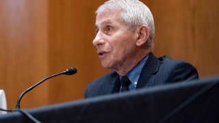 Anthony Fauci, director of the National Institute of Allergy and Infectious Diseases, speaks during a hearing looking into the budget estimates for National Institute of Health (NIH) and the state of medical research on Capitol Hill in Washington, DC on May 26, 2021.