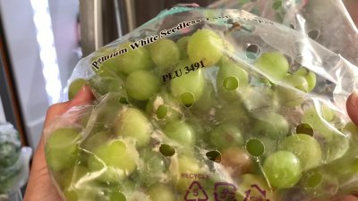 Tips to Stop Wasting Food and While Saving Money: Consumer Reports