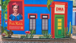 Dallas Museum of Art Frida Kahlo Pop-up