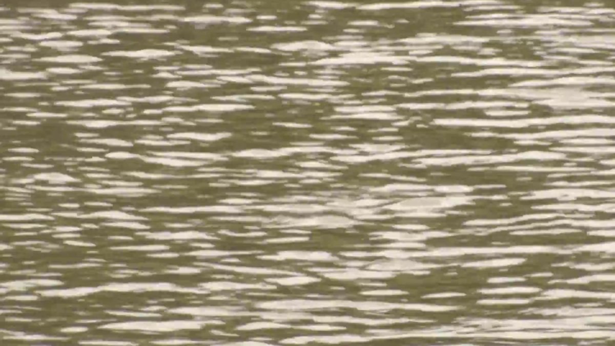 The Loyd Park boat ramp is back open after a sewage spill but some areas are still being monitored