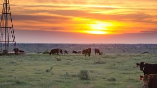 The Turkey Track Ranch in Texas' Panhandle sprawls over almost 80,000 acres along the Canadian River near the town of Borger.