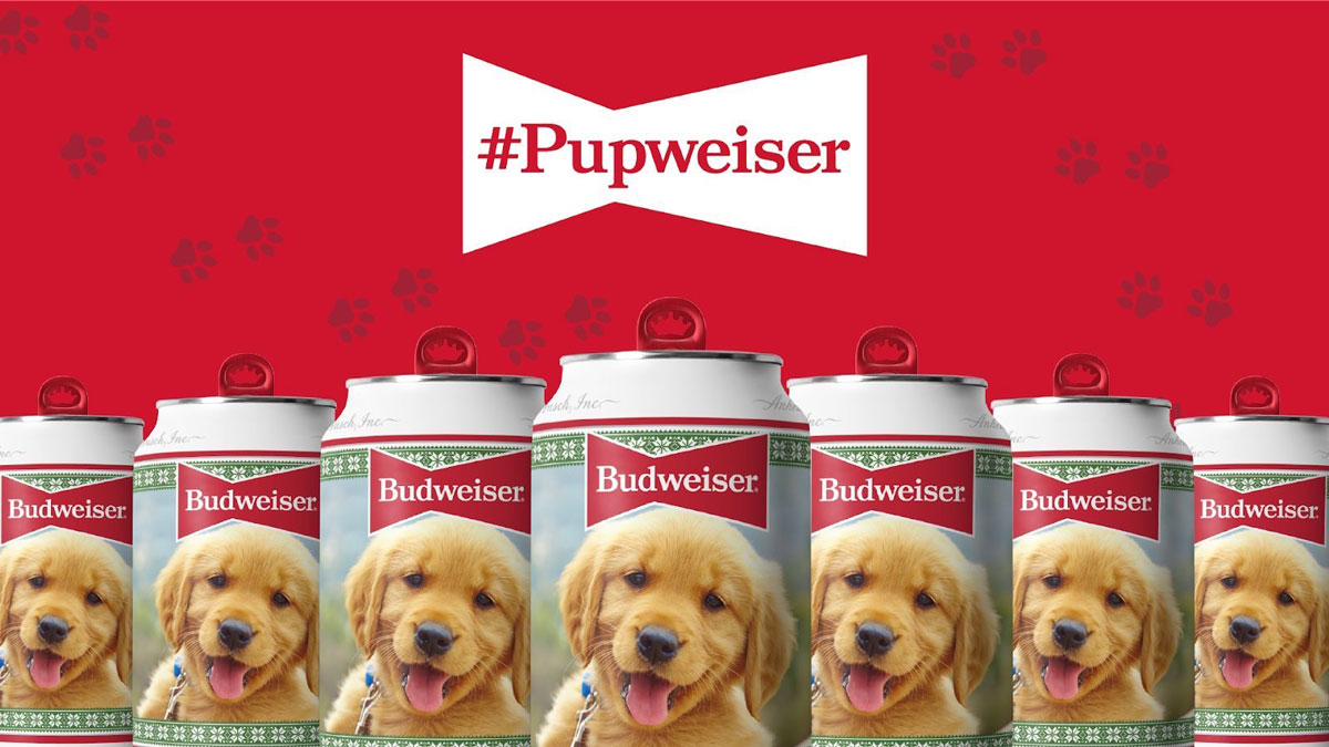 Budweiser Launches Casting Call for Dog to Be Featured on 2021 Holiday
Can