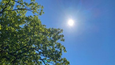Explainer: What is Dew Point?