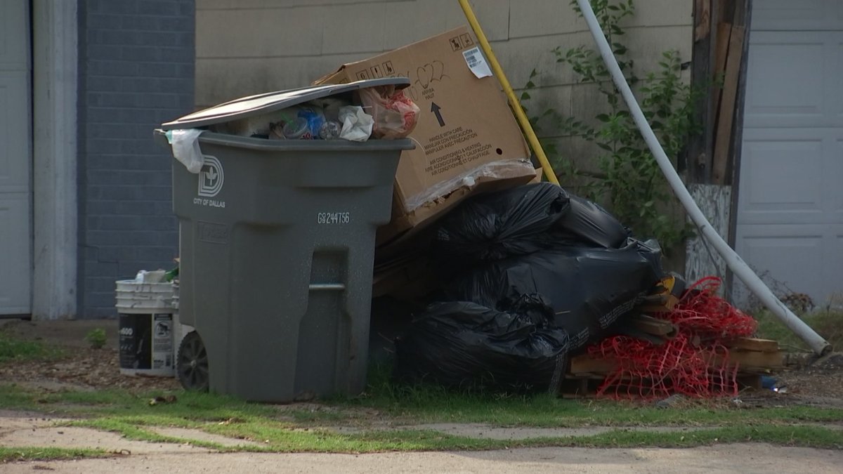 Garbage Collection Issues Not the Only Concern for Dallas Residents ...