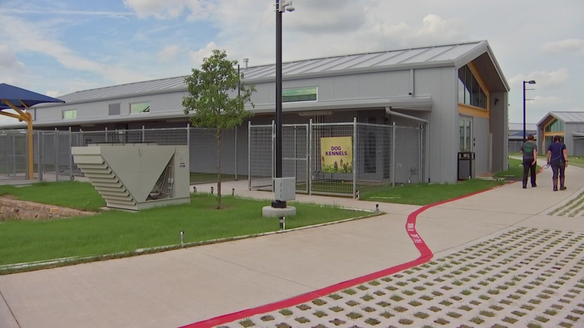 Overcrowded Fort Worth Animal Shelter Calls on Community to Adopt NBC