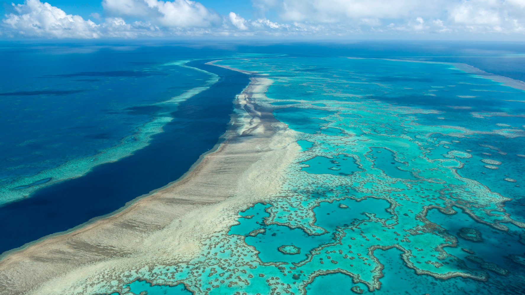 Australia Avoids UNESCO Downgrade of Great Barrier Reef