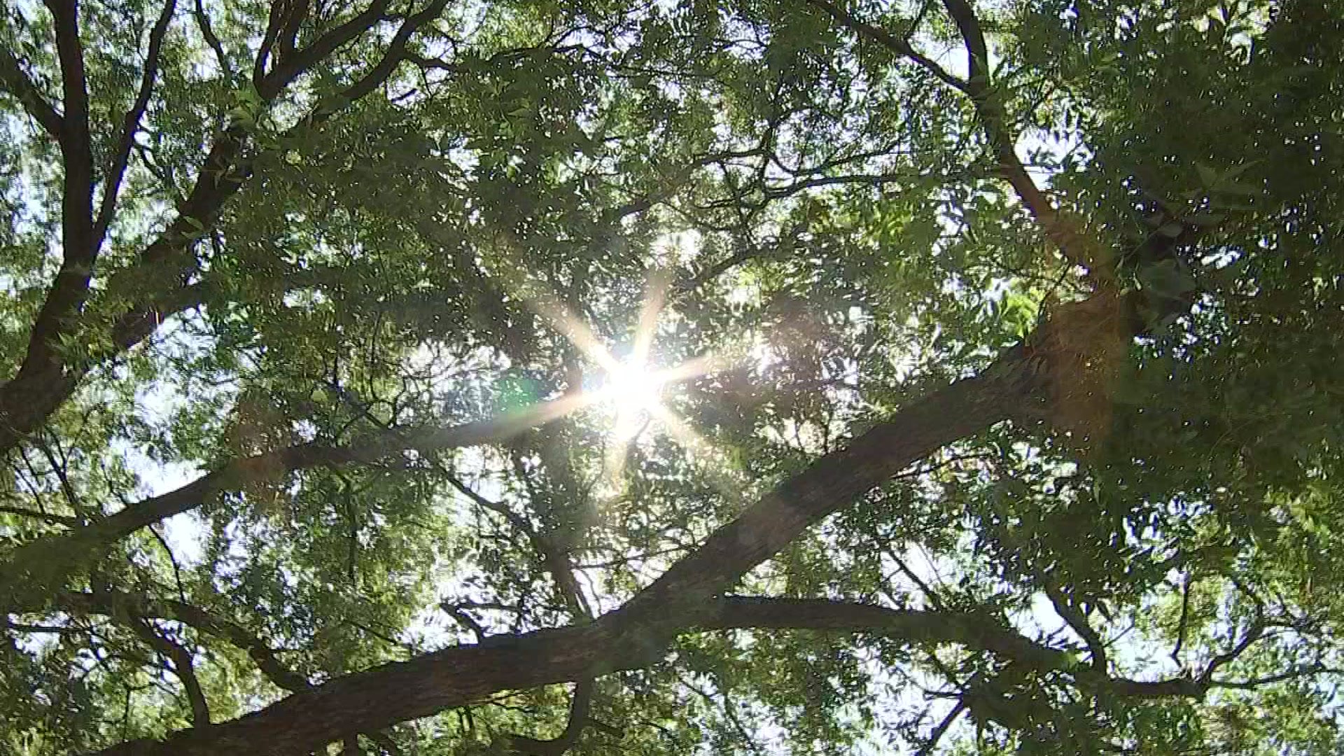 Hot Weather Causes Spike in Heat-Related Emergency Medical Calls - Vimarsana News